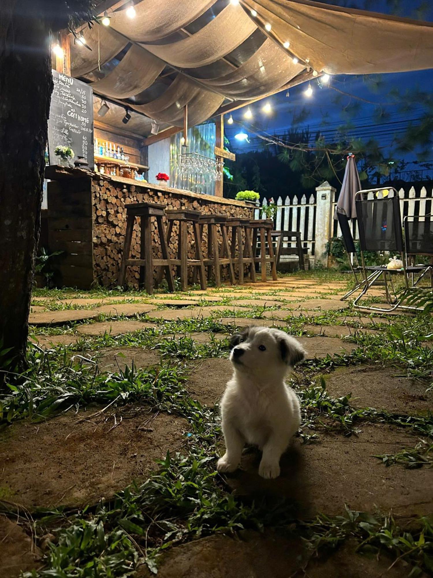 Chino Homestay Mang Den - Villa Tai Mang Den Kon Tum  Exterior foto